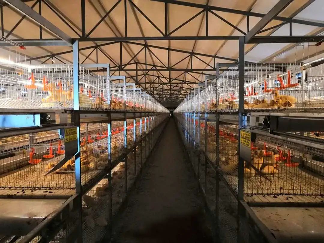 1659621256654962.jpg 6.jpg