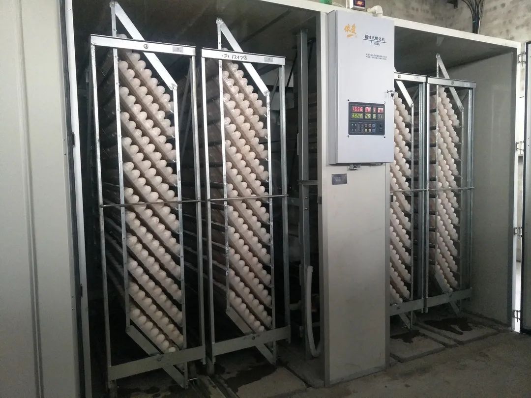 1659621279268459.jpg 7.jpg