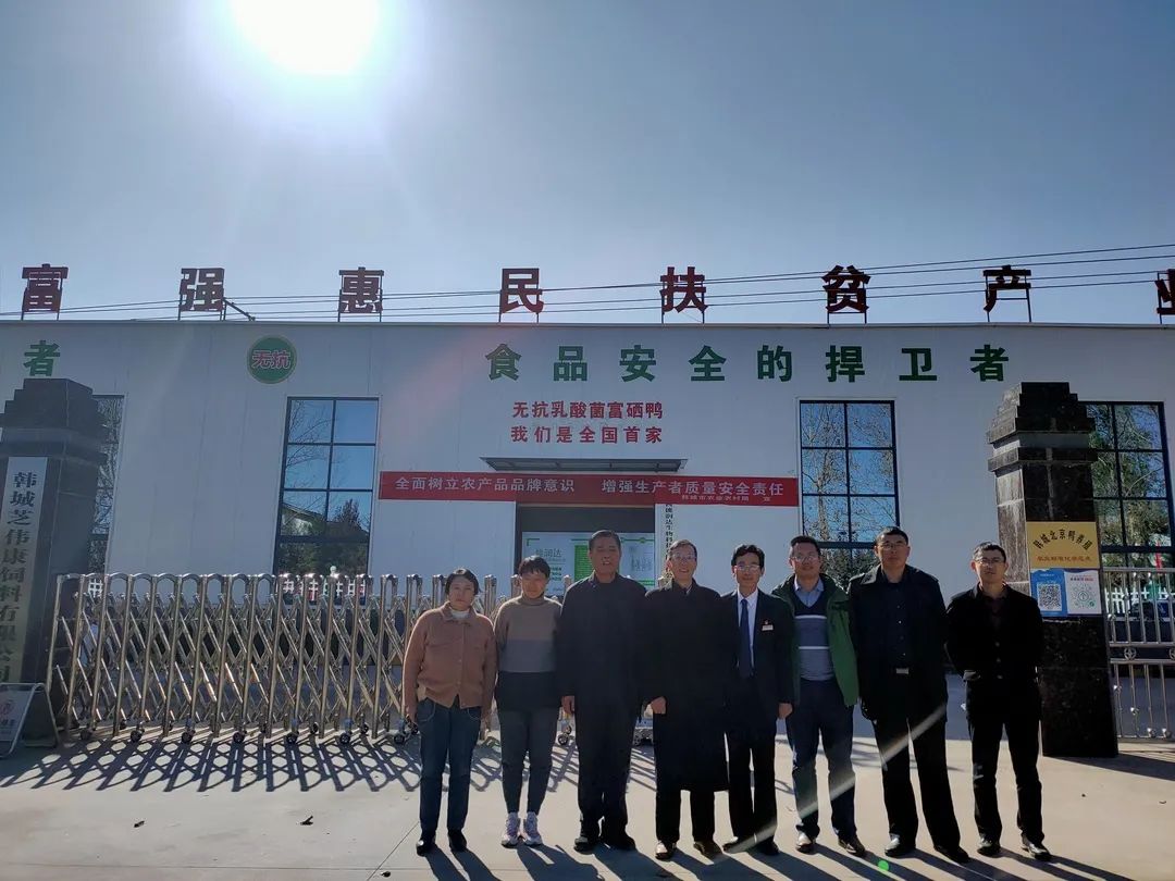 1659621643786808.jpg 9.jpg