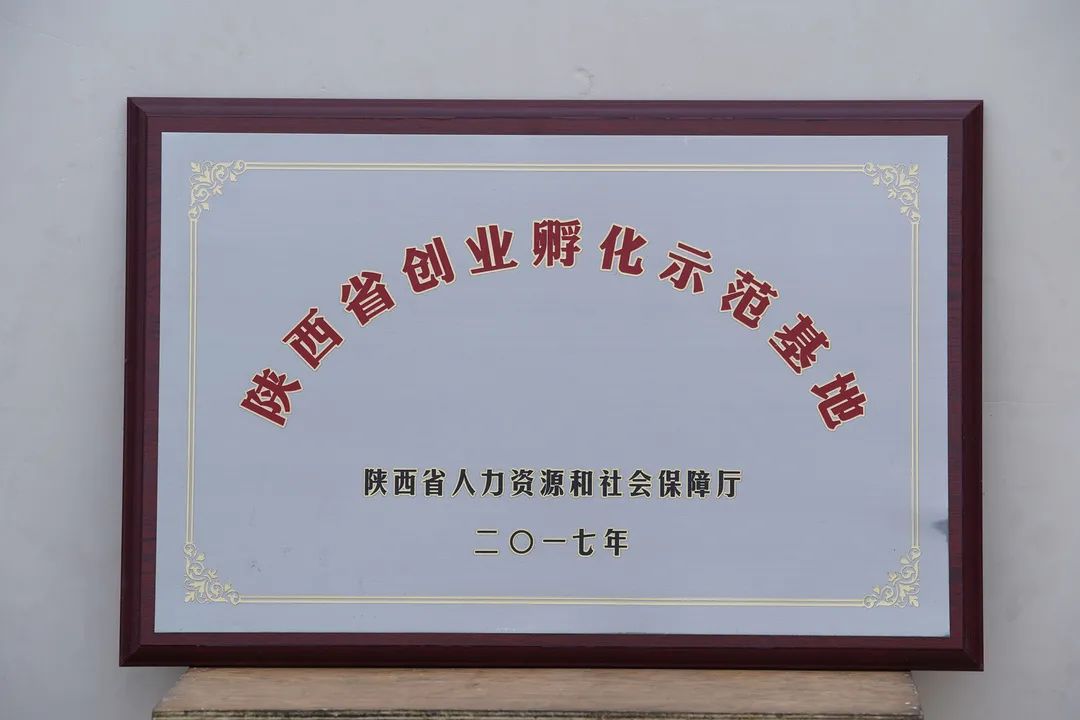 1659621705126211.jpg 10.jpg