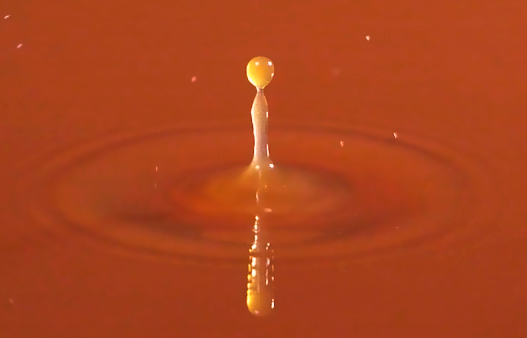 1664261326440540.png 5.png