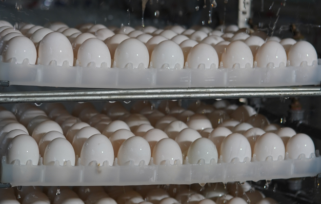 1664261650890586.png 11.png