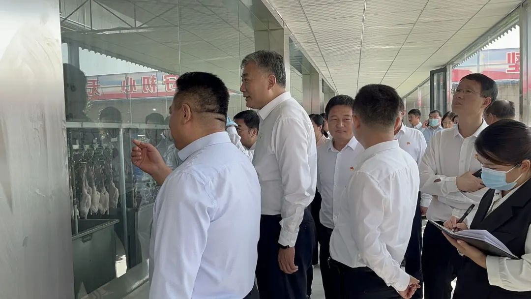 1664263652884672.jpg 26.jpg