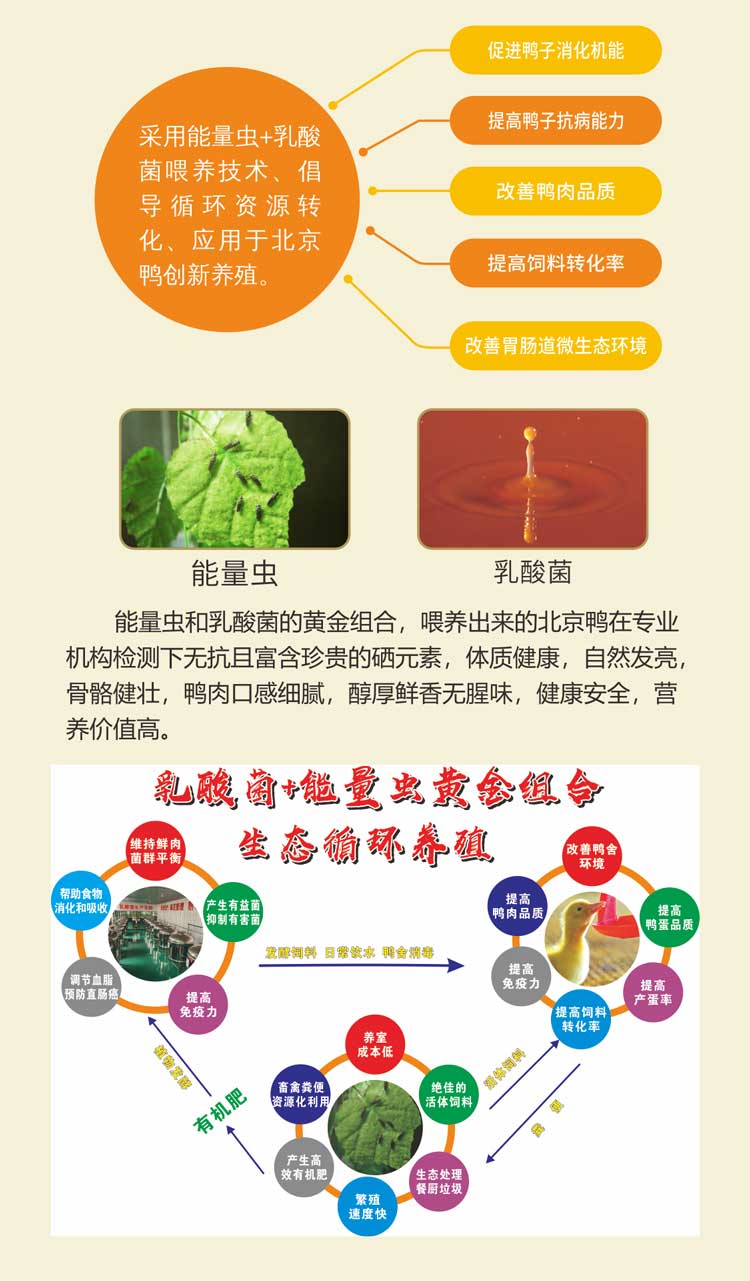 1672123479135056.jpg xunhuan_02.jpg