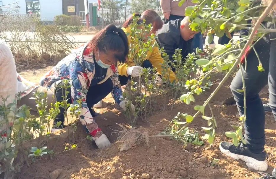 1678968022606804.jpg 5.jpg