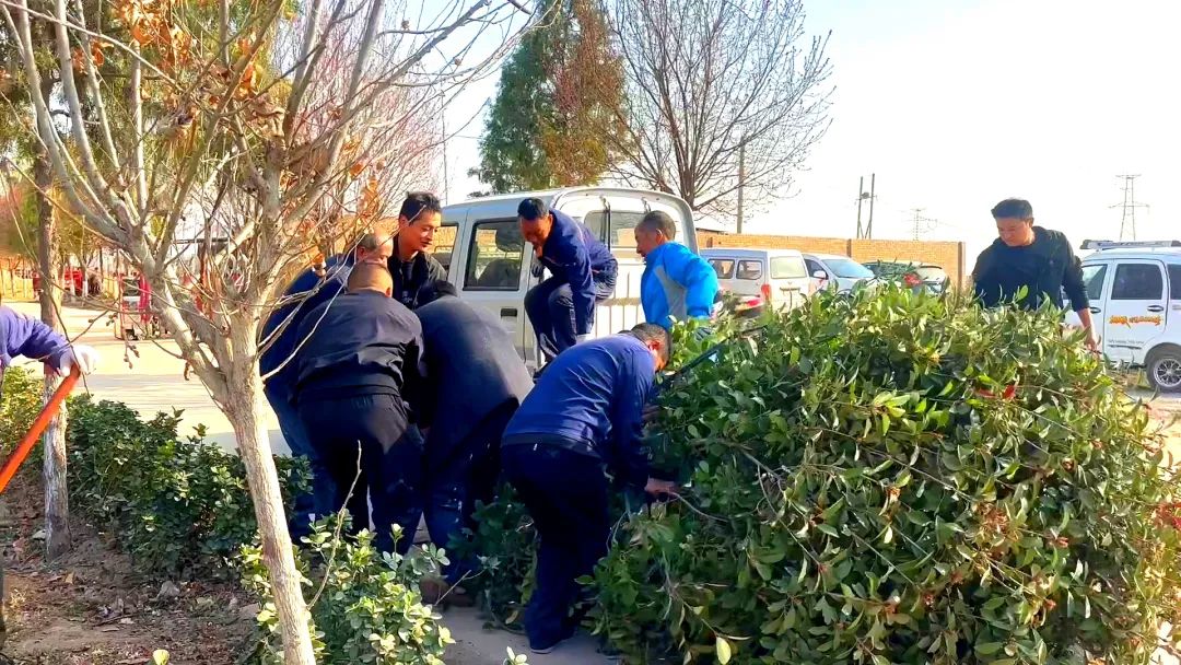 1678968143812141.jpg 8.jpg