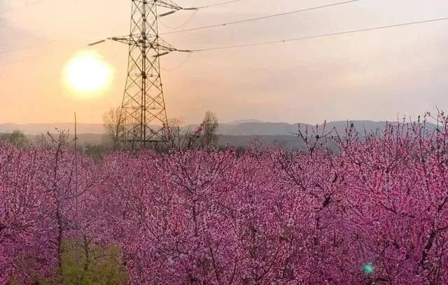 1681775574590658.jpg 1.jpg