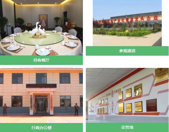 1681775695812782.jpg 4.jpg