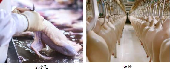 1681775830238895.jpg 6.jpg