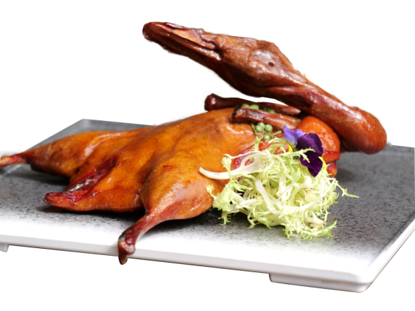 1682583878919343.png 01.png