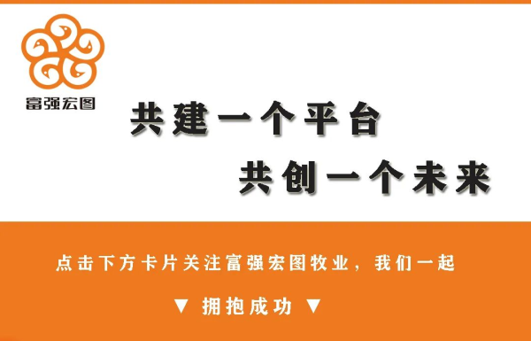 1682584417339451.png 025.png