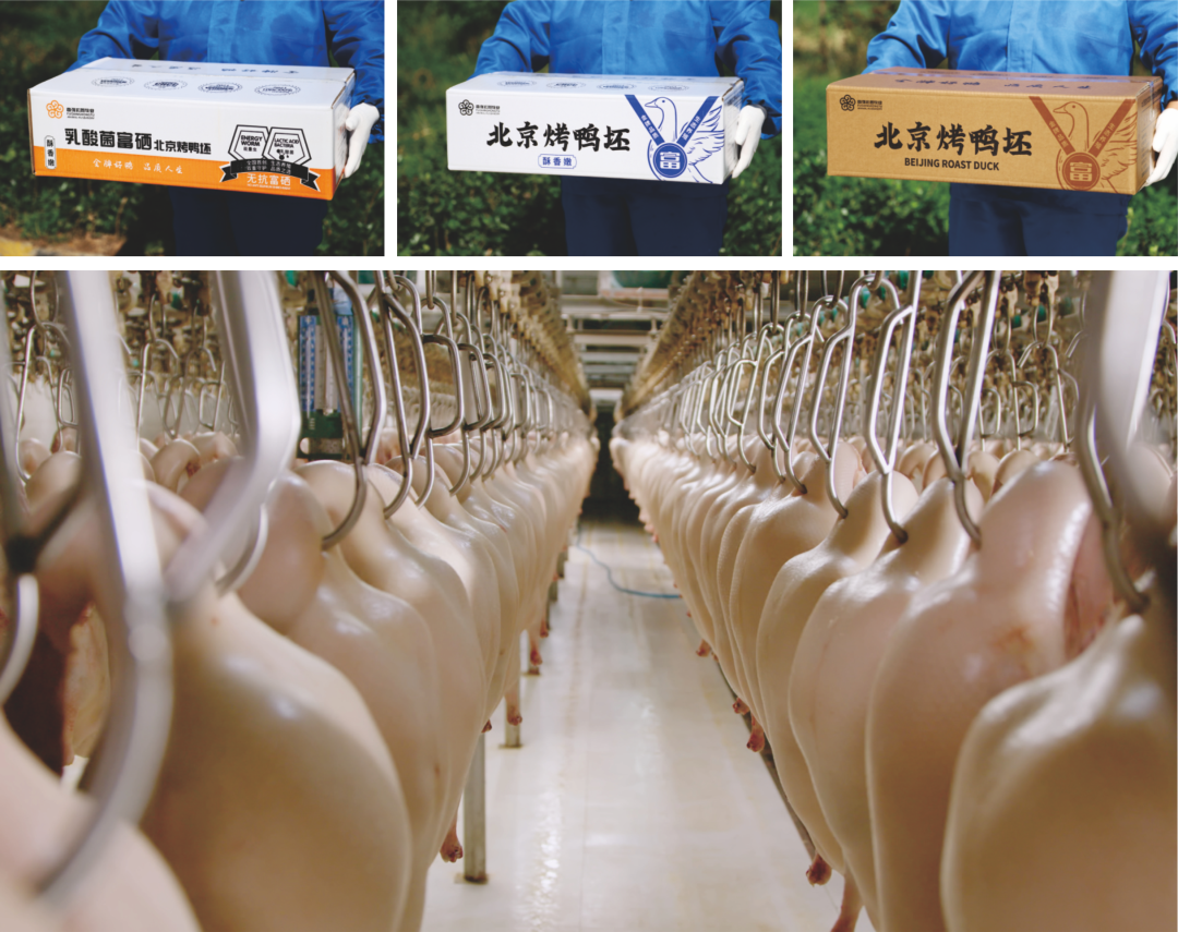 1686029519105950.png 7.png