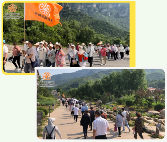 1687771164476656.jpg 2.jpg