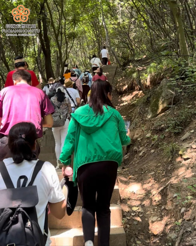 1687771193606633.jpg 4.jpg