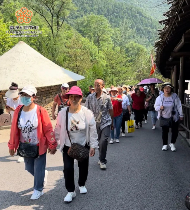 1687771202386090.jpg 5.jpg