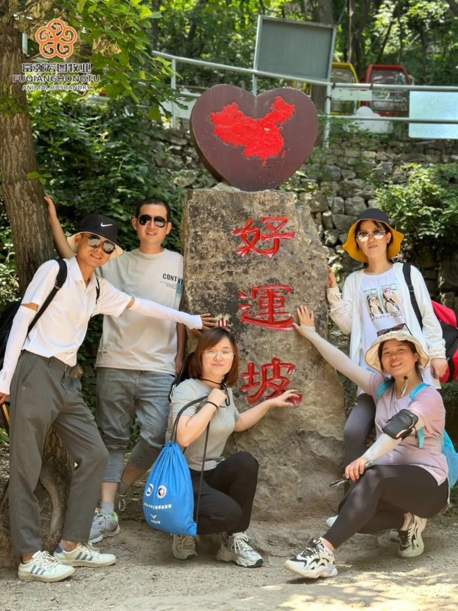 1687771275183923.jpg 6.jpg