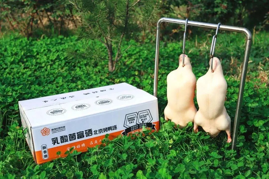 1688084129583251.jpg 1688084129583251.jpg