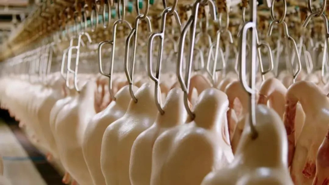 1688432363529956.jpg 4.jpg