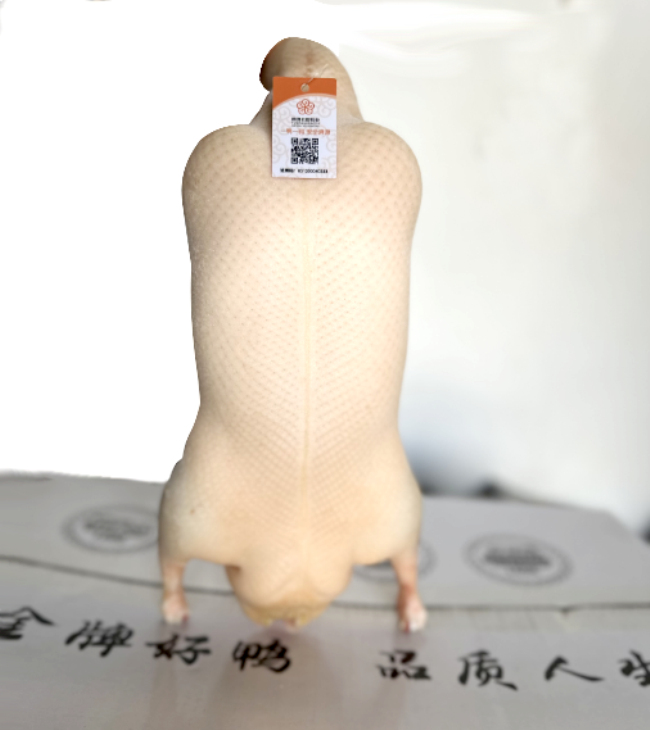 1688432482614048.jpg 10.jpg