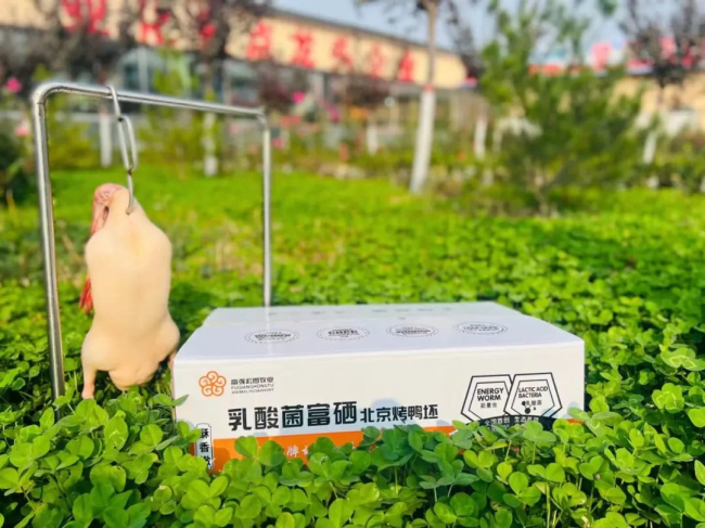 1689758258827497.jpg 01.jpg