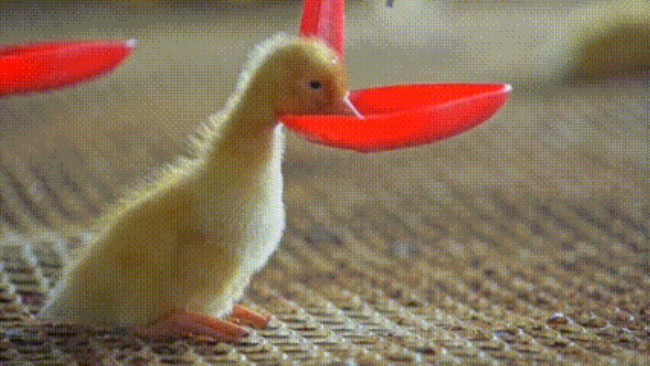 1689758280178378.jpg 02.jpg