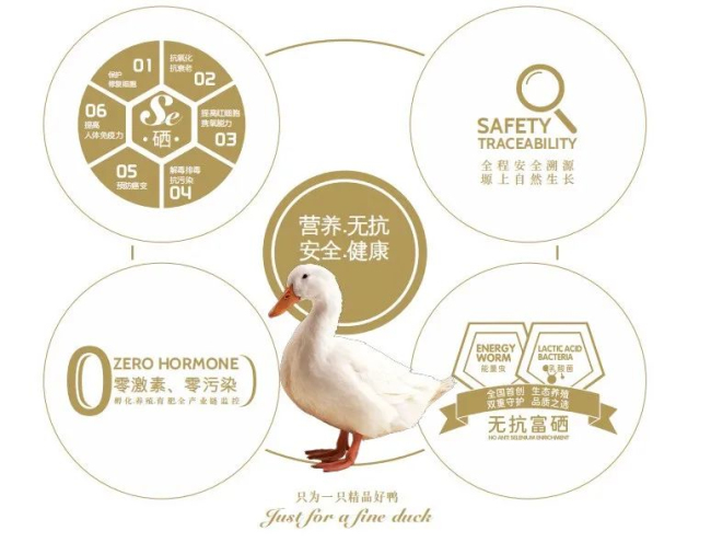 1689758305667421.jpg 03.jpg