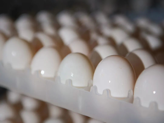 1689758444414139.jpg 06.jpg