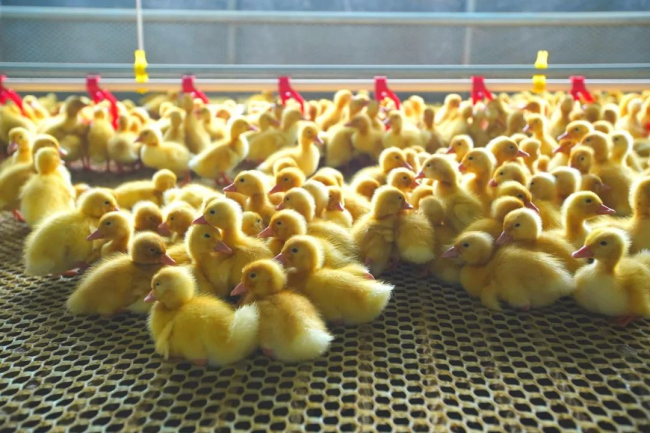 1690445190602461.jpg 05.jpg