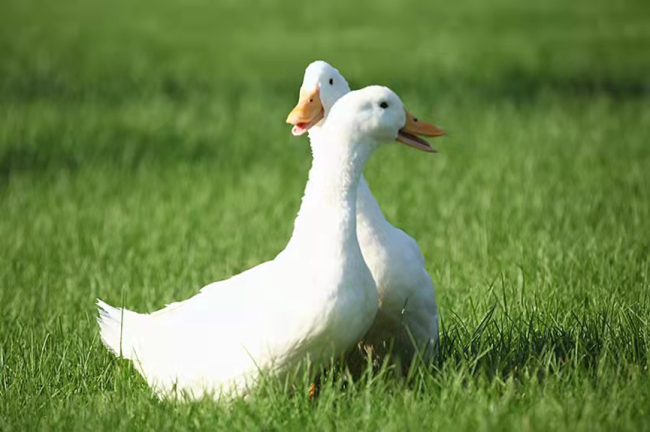 1691137077919261.png 1.png