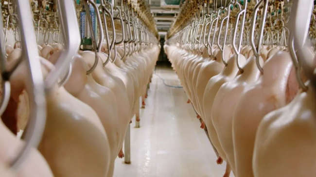 1691137181688527.png 5.png