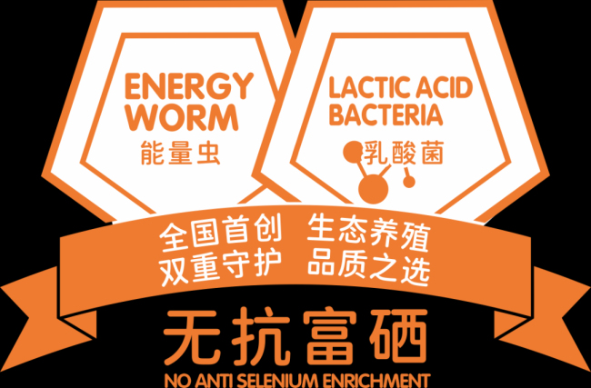 1691627509300000.jpg 5.jpg