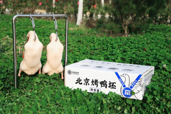 1692260965890040.png 05.png