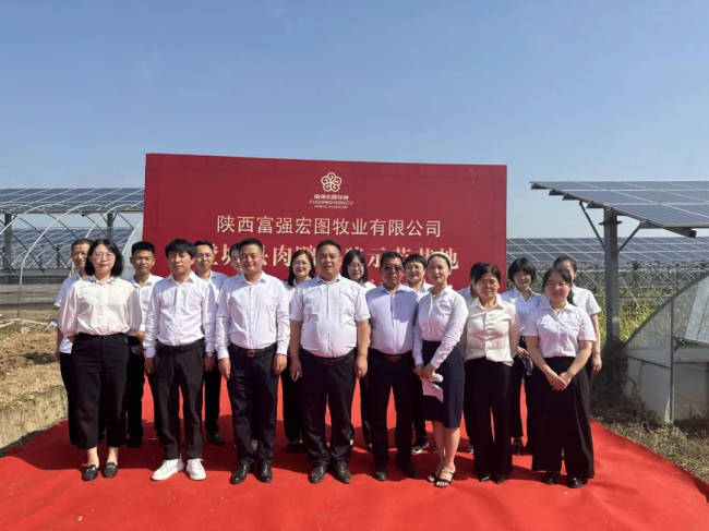 1692773681976191.jpg 8.jpg