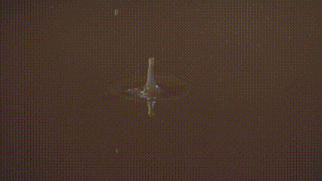 1693986401681093.jpg 1.jpg