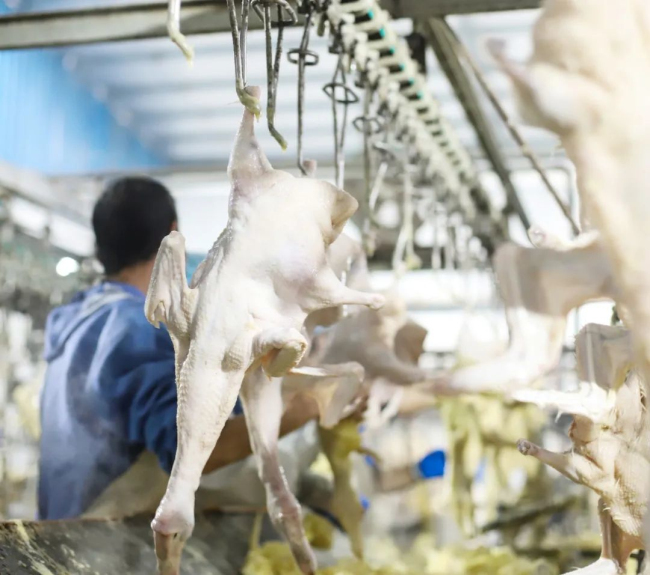 1693986505533099.jpg 3.jpg