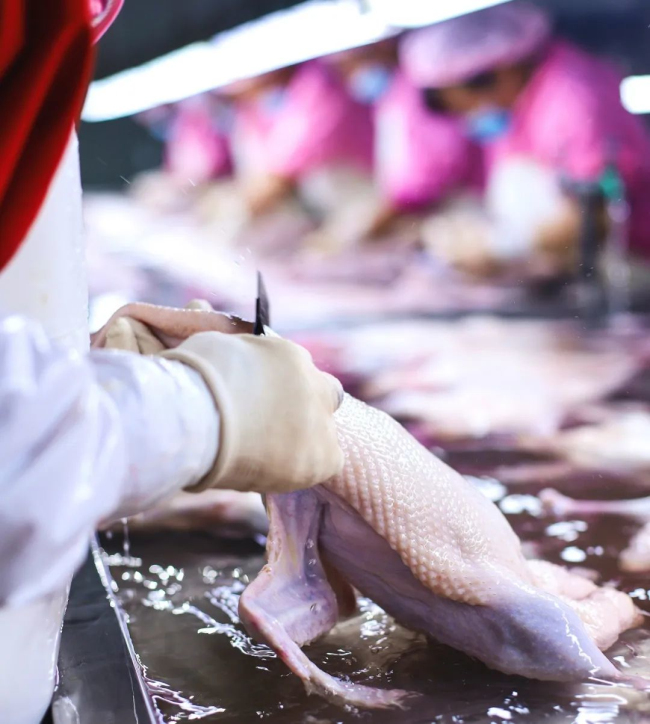 1693986516116784.jpg 4.jpg