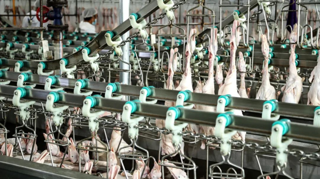 1693986525173386.jpg 5.jpg