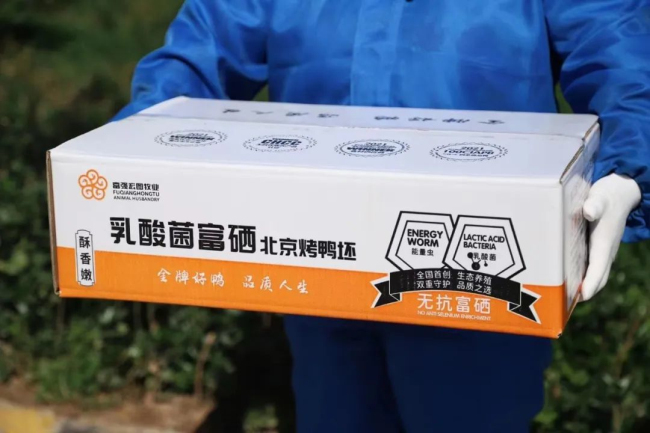 1693986540787907.jpg 6.jpg