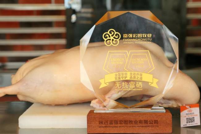 1693986580210384.jpg 7.jpg