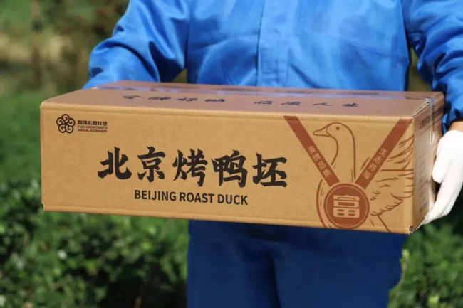 1693986640615000.jpg 10.jpg