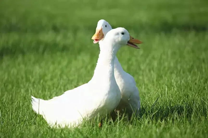 1694737786304826.jpg 2.jpg