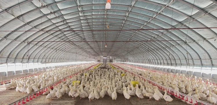 1696641266371708.jpg 5.jpg