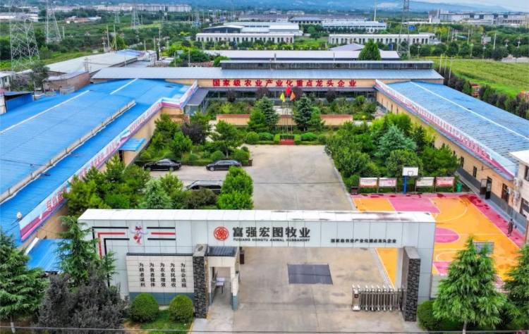 1696641358894399.jpg 9.jpg