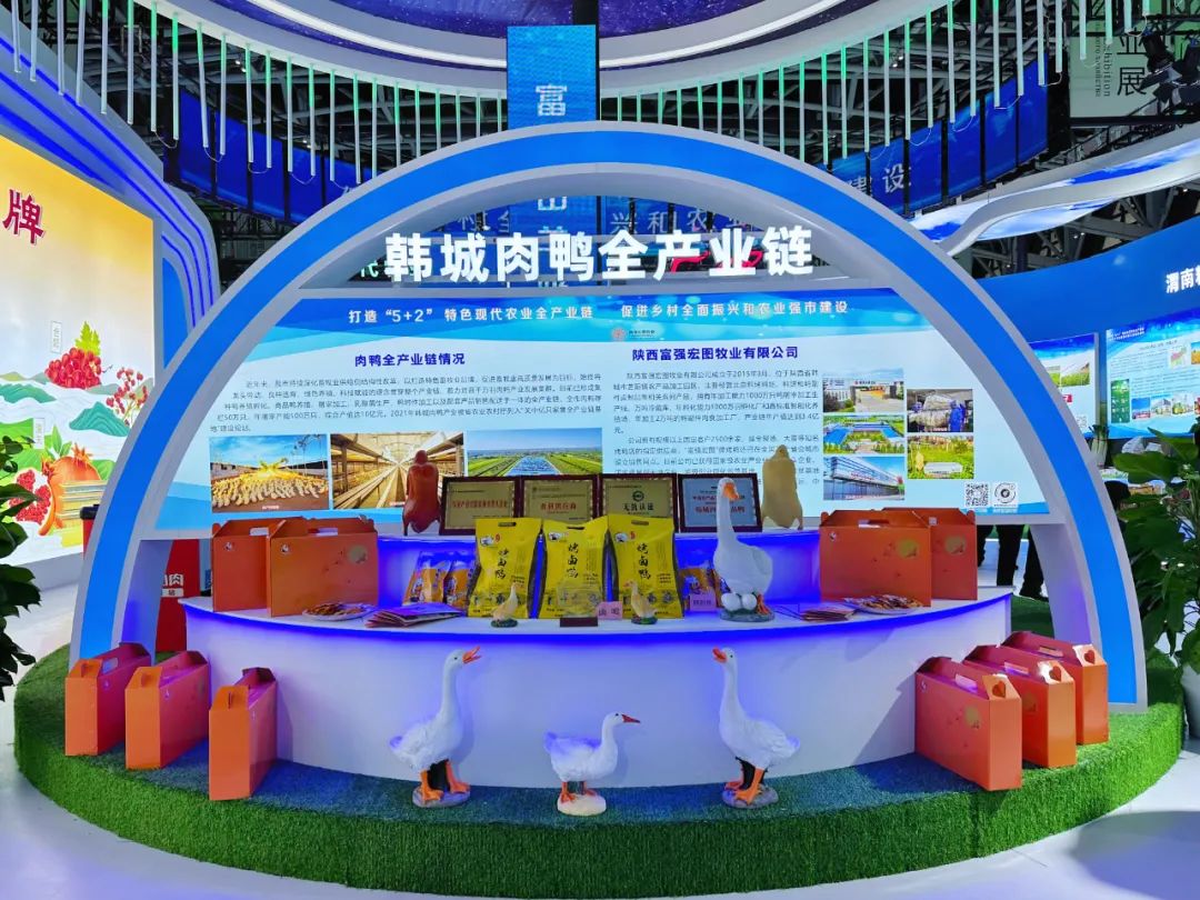 1700471185701749.jpg 3.jpg