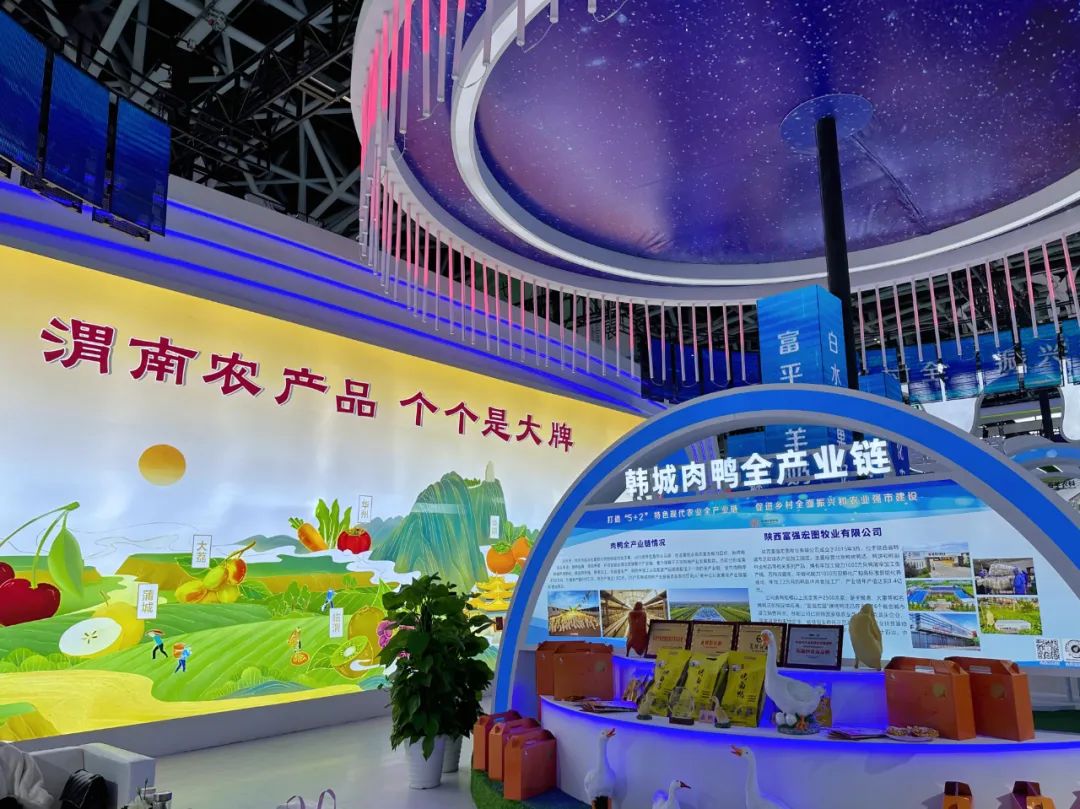 1700471329817887.jpg 7.jpg