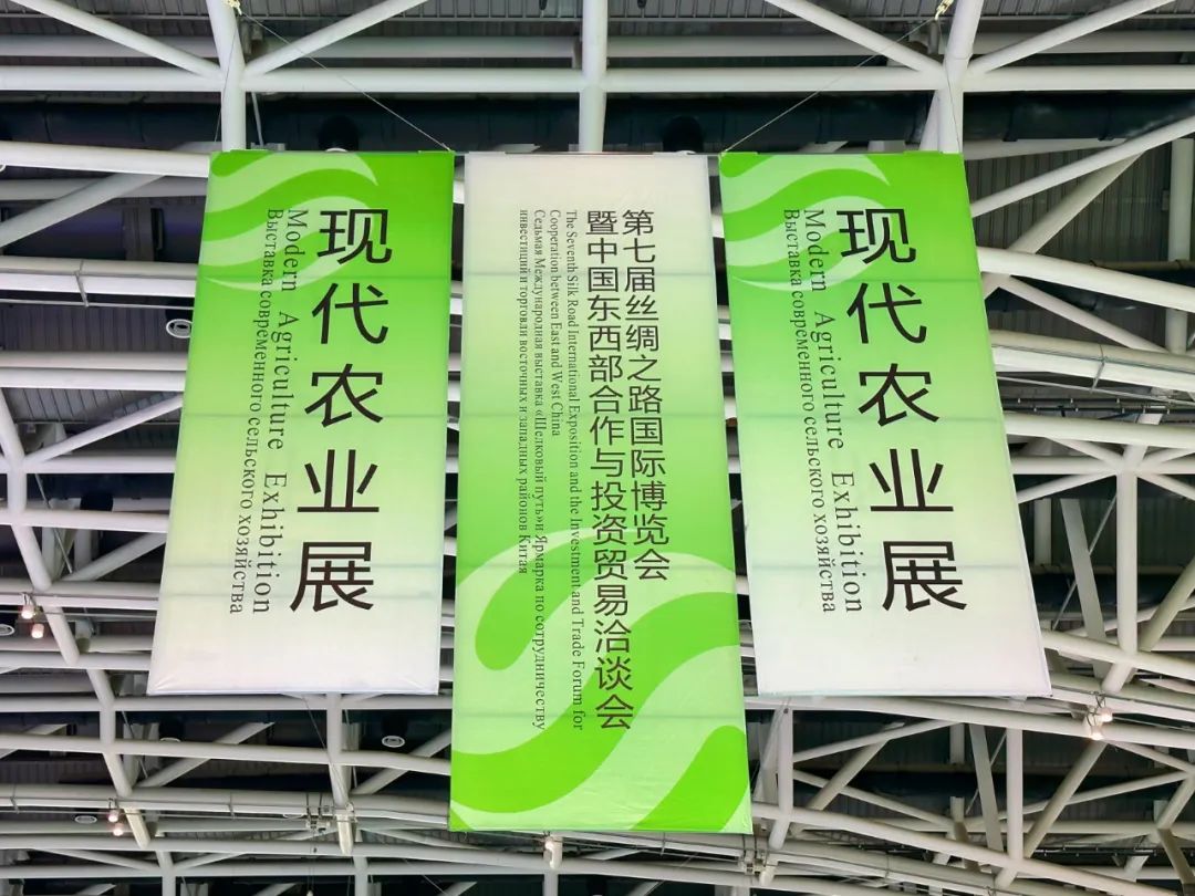 1700471370650790.jpg 8.jpg