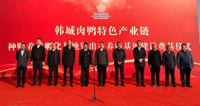 1700699212773849.jpg 1.jpg