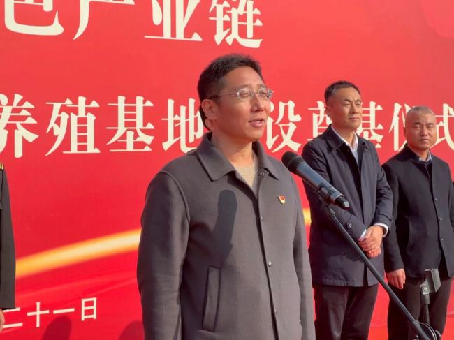 1700699335160221.jpg 4.jpg