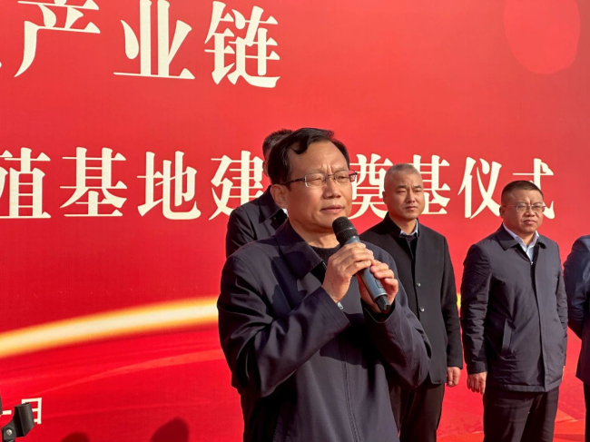 1700699431823644.jpg 5.jpg