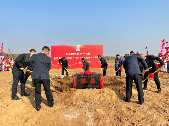 1700699497962619.jpg 7.jpg